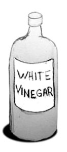 Vinegar Bottle